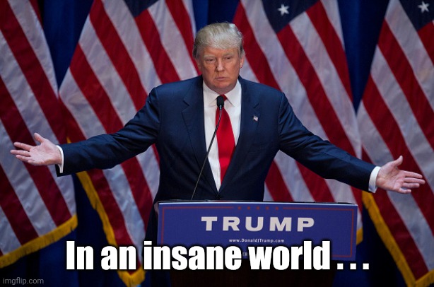 Donald Trump | In an insane world . . . | image tagged in donald trump | made w/ Imgflip meme maker
