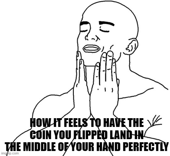 it feels so good | HOW IT FEELS TO HAVE THE COIN YOU FLIPPED LAND IN THE MIDDLE OF YOUR HAND PERFECTLY | image tagged in satisfaction | made w/ Imgflip meme maker