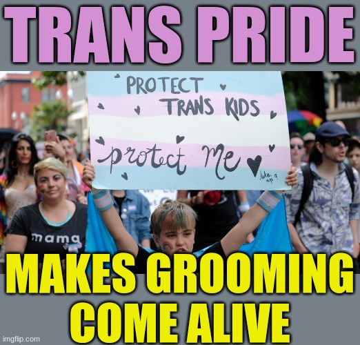 Can't deny the facts. | TRANS PRIDE; MAKES GROOMING COME ALIVE | image tagged in trans,groom | made w/ Imgflip meme maker