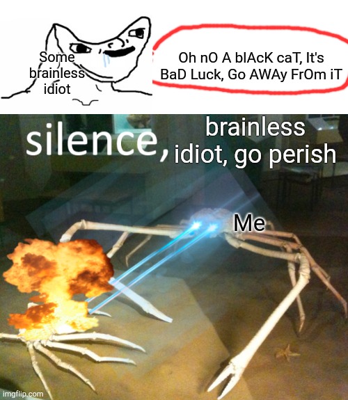 I hate it when they say black cats = bad luck, like, bruh it doesn't make sense | Some brainless idiot; Oh nO A blAcK caT, It's BaD Luck, Go AWAy FrOm iT; brainless idiot, go perish; Me | image tagged in i hate when people say black cats are bad luck,hi | made w/ Imgflip meme maker