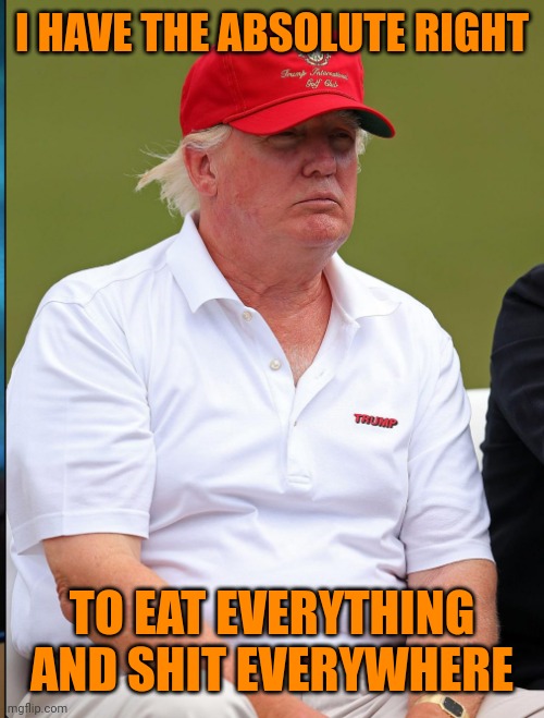 frump | I HAVE THE ABSOLUTE RIGHT; TO EAT EVERYTHING AND SHIT EVERYWHERE | image tagged in frump,shithole,absolute right,metaphors | made w/ Imgflip meme maker