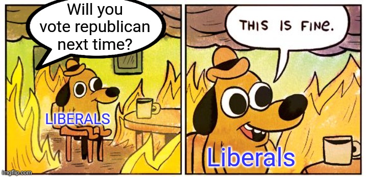 This Is Fine Meme | Will you vote republican next time? Liberals LIBERALS | image tagged in memes,this is fine | made w/ Imgflip meme maker