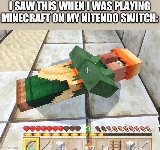 … | I SAW THIS WHEN I WAS PLAYING MINECRAFT ON MY NITENDO SWITCH: | image tagged in bruh | made w/ Imgflip meme maker