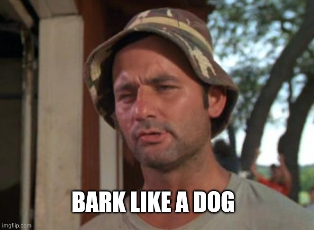 Bark | BARK LIKE A DOG | image tagged in so i got that goin for me which is nice | made w/ Imgflip meme maker