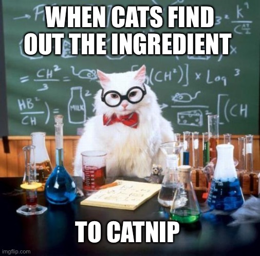 Science | WHEN CATS FIND OUT THE INGREDIENT; TO CATNIP | image tagged in memes,chemistry cat | made w/ Imgflip meme maker