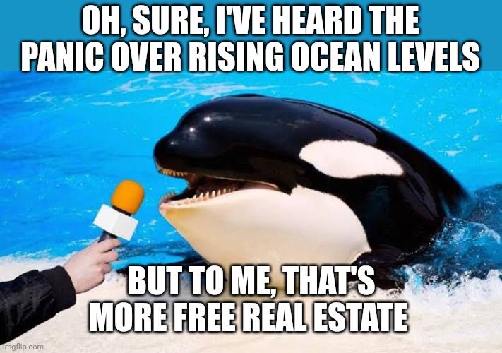Orca talking into a microphone | OH, SURE, I'VE HEARD THE PANIC OVER RISING OCEAN LEVELS; BUT TO ME, THAT'S MORE FREE REAL ESTATE | image tagged in orca talking into a microphone | made w/ Imgflip meme maker