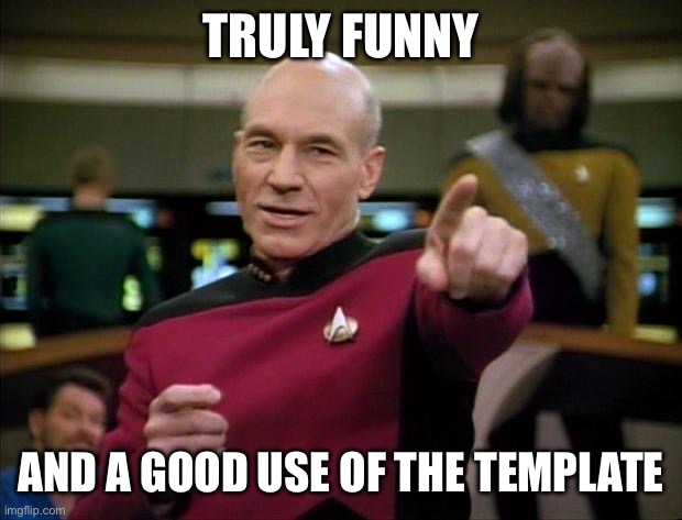 Picard | TRULY FUNNY AND A GOOD USE OF THE TEMPLATE | image tagged in picard | made w/ Imgflip meme maker