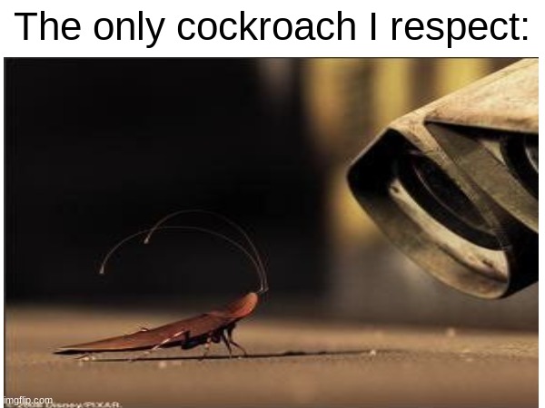 His name is Hal btw. | The only cockroach I respect: | image tagged in blank white template | made w/ Imgflip meme maker