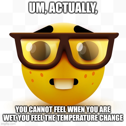Nerd emoji | UM, ACTUALLY, YOU CANNOT FEEL WHEN YOU ARE WET, YOU FEEL THE TEMPERATURE CHANGE | image tagged in nerd emoji | made w/ Imgflip meme maker