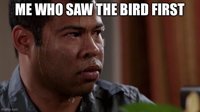sweating bullets | ME WHO SAW THE BIRD FIRST | image tagged in sweating bullets | made w/ Imgflip meme maker