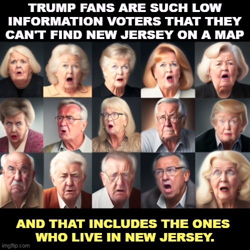 TRUMP FANS ARE SUCH LOW INFORMATION VOTERS THAT THEY CAN'T FIND NEW JERSEY ON A MAP; AND THAT INCLUDES THE ONES 
WHO LIVE IN NEW JERSEY. | image tagged in trump,fans,voters,new jersey | made w/ Imgflip meme maker