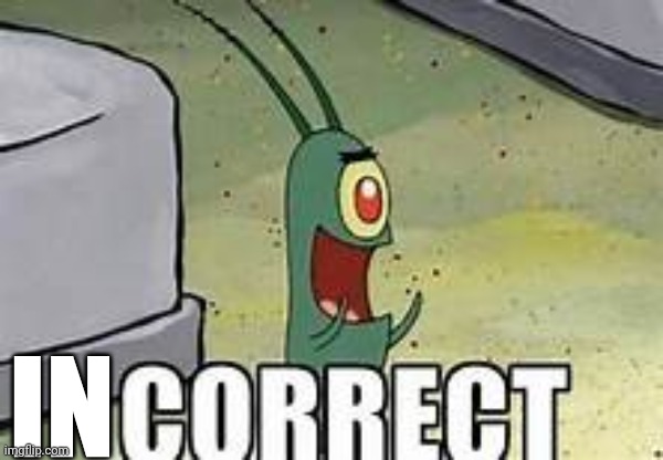 Plankton correct | IN | image tagged in plankton correct | made w/ Imgflip meme maker