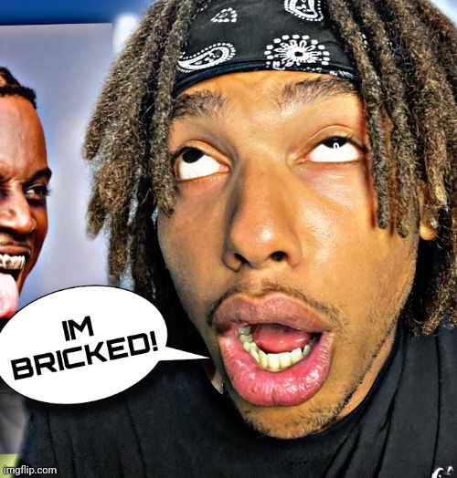 IM BRICKED! | image tagged in im bricked | made w/ Imgflip meme maker