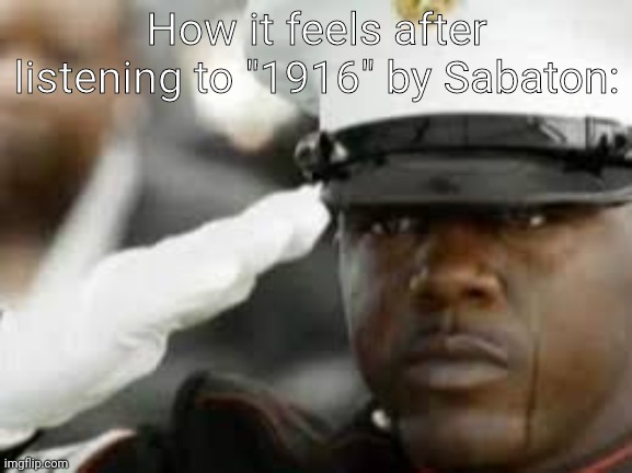 Shit is patriotic | How it feels after listening to "1916" by Sabaton: | image tagged in sad salute | made w/ Imgflip meme maker