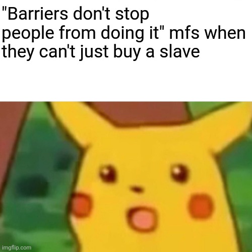 Surprised Pikachu | "Barriers don't stop people from doing it" mfs when they can't just buy a slave | image tagged in memes,surprised pikachu | made w/ Imgflip meme maker