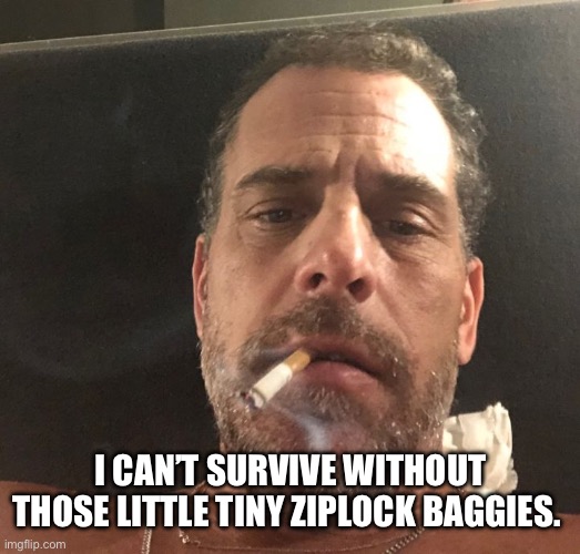 Hunter Biden | I CAN’T SURVIVE WITHOUT THOSE LITTLE TINY ZIPLOCK BAGGIES. | image tagged in hunter biden | made w/ Imgflip meme maker