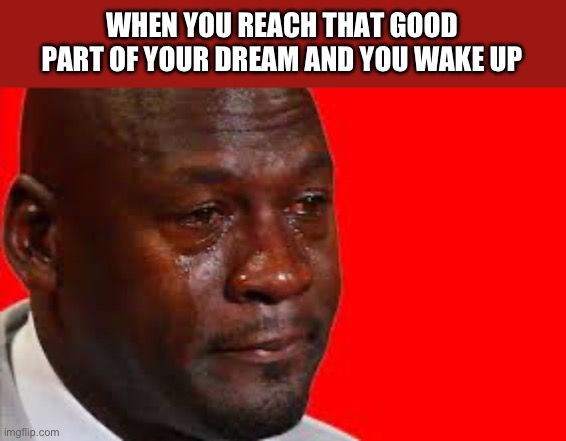 Crying jordan Meme | WHEN YOU REACH THAT GOOD PART OF YOUR DREAM AND YOU WAKE UP | image tagged in crying jordan meme | made w/ Imgflip meme maker