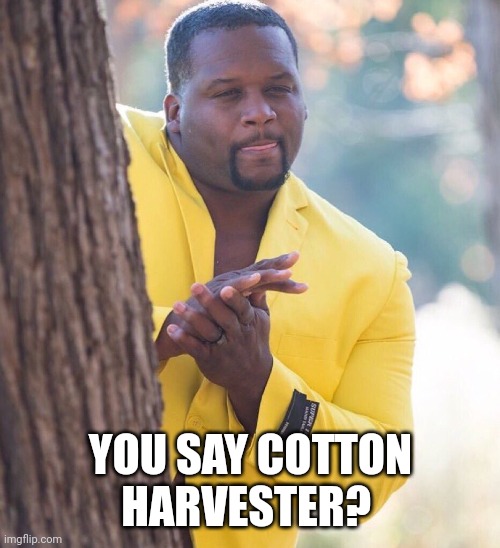 Black guy hiding behind tree | YOU SAY COTTON HARVESTER? | image tagged in black guy hiding behind tree | made w/ Imgflip meme maker