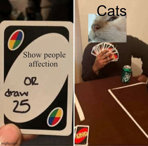 UNO Draw 25 Cards Meme | Cats; Show people affection | image tagged in memes,uno draw 25 cards | made w/ Imgflip meme maker