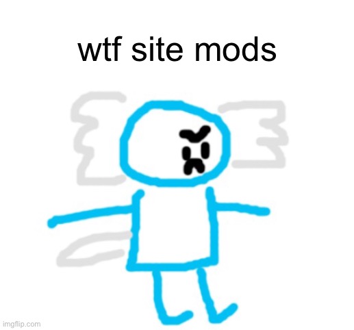 make a list of every time it would make sense to say this | wtf site mods | image tagged in 4non axolotl | made w/ Imgflip meme maker