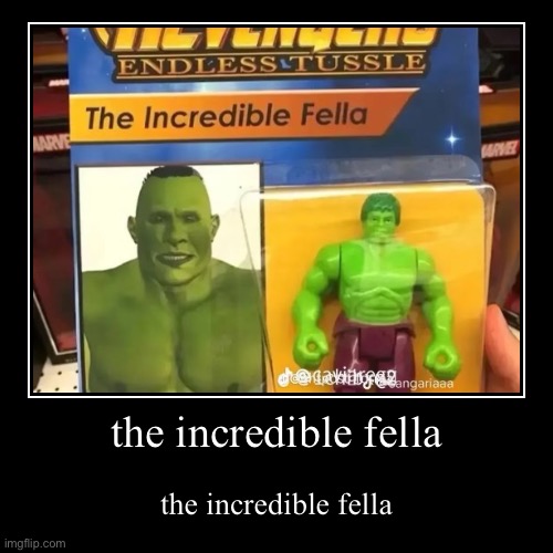 the incredible fella | the incredible fella | image tagged in funny,demotivationals | made w/ Imgflip demotivational maker