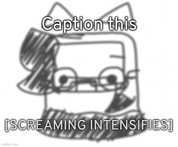 [SCREAMING INTENSIFIES] | Caption this | image tagged in screaming intensifies,idk,stuff,s o u p,carck | made w/ Imgflip meme maker