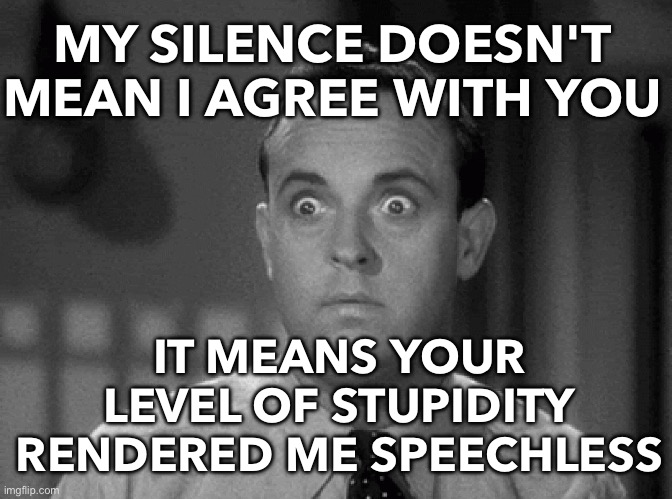 My Silence Doesn't Mean I Agree with You | MY SILENCE DOESN'T MEAN I AGREE WITH YOU; IT MEANS YOUR LEVEL OF STUPIDITY RENDERED ME SPEECHLESS | image tagged in shocked face | made w/ Imgflip meme maker