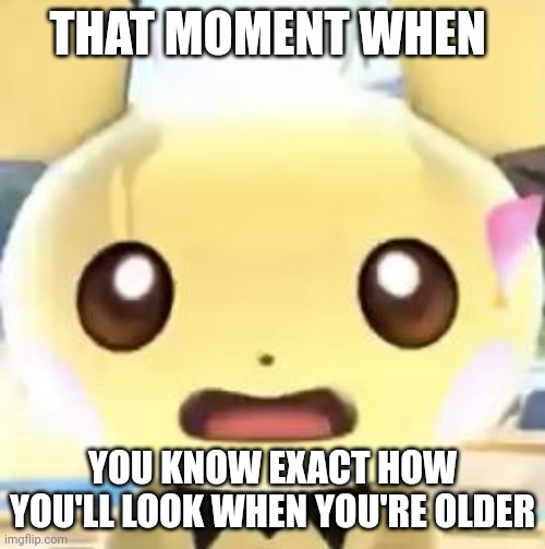 Surprised Pichu | THAT MOMENT WHEN; YOU KNOW EXACT HOW YOU'LL LOOK WHEN YOU'RE OLDER | image tagged in surprised pichu | made w/ Imgflip meme maker