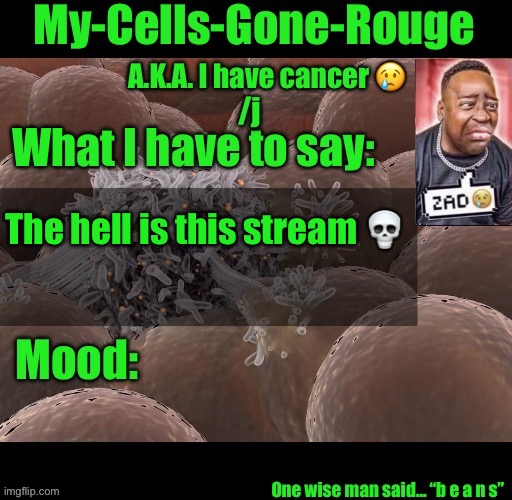 My-Cells-Gone-Rouge announcement | The hell is this stream 💀 | image tagged in my-cells-gone-rouge announcement | made w/ Imgflip meme maker