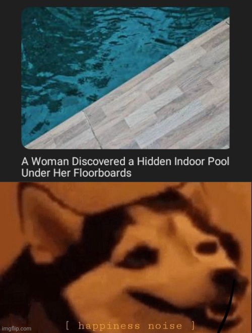 A hidden indoor pool discovery | image tagged in happiness noise,swimming pool,pool,indoor pool,discovery,memes | made w/ Imgflip meme maker