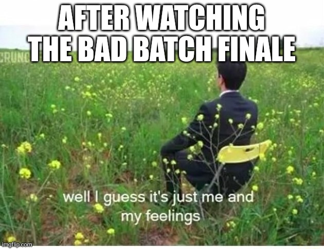 well i guess it's just me and my feelings | AFTER WATCHING THE BAD BATCH FINALE | image tagged in well i guess it's just me and my feelings | made w/ Imgflip meme maker