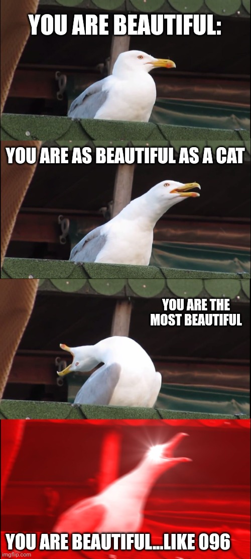 My new meme I made this | YOU ARE BEAUTIFUL:; YOU ARE AS BEAUTIFUL AS A CAT; YOU ARE THE MOST BEAUTIFUL; YOU ARE BEAUTIFUL...LIKE 096 | image tagged in memes,inhaling seagull | made w/ Imgflip meme maker