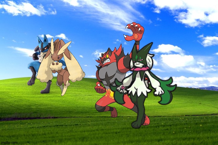Lucario,Lopunny,Incineroar and Meowscarada hanging out in the field | image tagged in windows background,pokemon | made w/ Imgflip meme maker