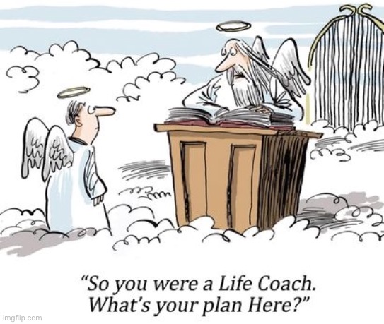 What is your plan here | image tagged in life coach,on earth,what is your plan,up here,comics | made w/ Imgflip meme maker