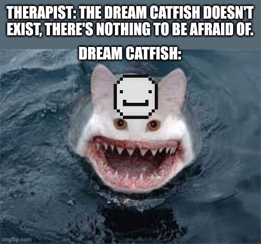 Help | THERAPIST: THE DREAM CATFISH DOESN'T EXIST, THERE'S NOTHING TO BE AFRAID OF. DREAM CATFISH: | image tagged in dream,catfish,shark,you have read the tags,kirby has found your sin unforgivable | made w/ Imgflip meme maker
