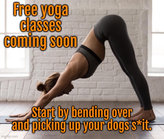 Coming soon | Free yoga classes coming soon; Start by bending over and picking up your dogs s*it. | image tagged in free yoga classes,coming soon,start now,bend over,dog poo,fun | made w/ Imgflip meme maker