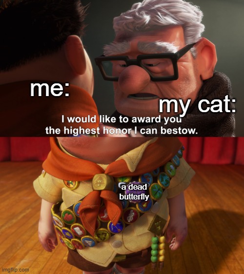 Highest Honor | my cat:; me:; a dead butterfly | image tagged in highest honor | made w/ Imgflip meme maker