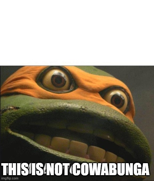 Cowabunga it is! | THIS IS NOT COWABUNGA | image tagged in cowabunga it is | made w/ Imgflip meme maker