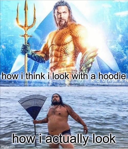 true | how i think i look with a hoodie; how i actually look | image tagged in high quality vs low quality aquaman | made w/ Imgflip meme maker