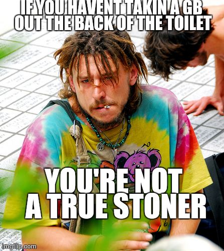 Stoner PhD Meme | IF YOU HAVENT TAKIN A GB OUT THE BACK OF THE TOILET YOU'RE NOT A TRUE STONER | image tagged in memes,stoner phd | made w/ Imgflip meme maker