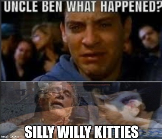 Morning chat | SILLY WILLY KITTIES | image tagged in uncle ben what happened | made w/ Imgflip meme maker