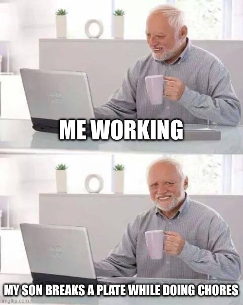 Hide the Pain Harold Meme | ME WORKING; MY SON BREAKS A PLATE WHILE DOING CHORES | image tagged in memes,hide the pain harold | made w/ Imgflip meme maker