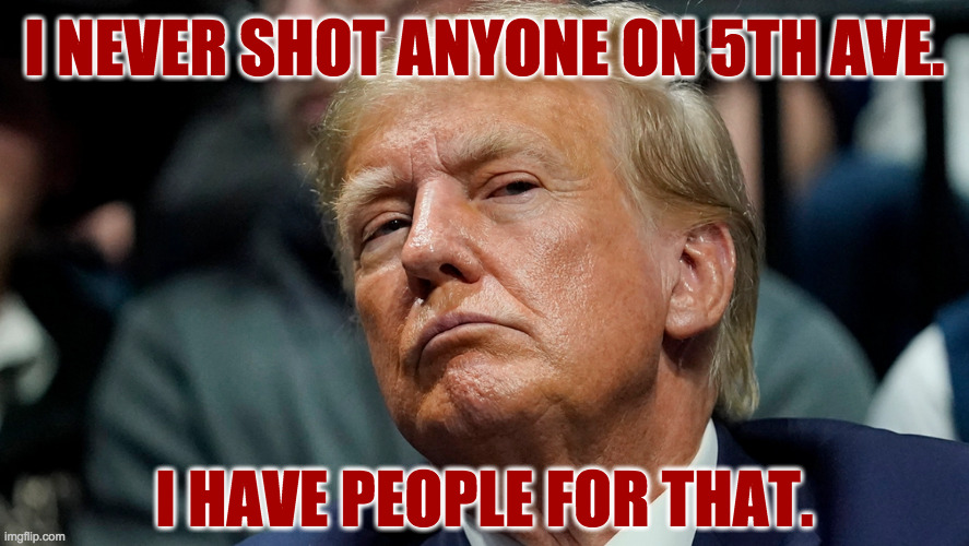Willing goons. | I NEVER SHOT ANYONE ON 5TH AVE. I HAVE PEOPLE FOR THAT. | image tagged in memes,trump | made w/ Imgflip meme maker