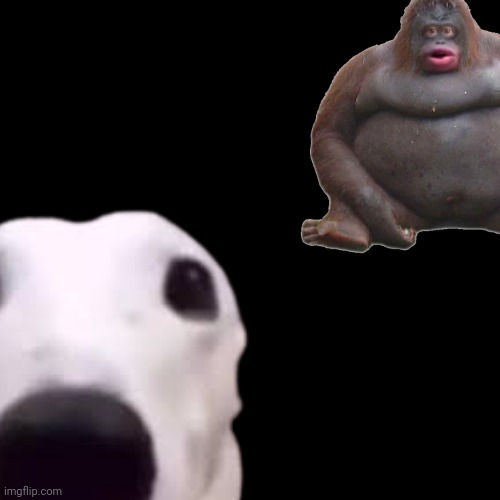 shivering timbers | image tagged in shivering timbers | made w/ Imgflip meme maker