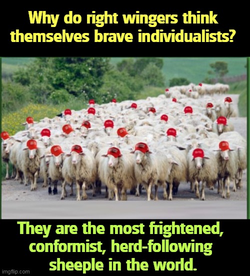 Why do right wingers think themselves brave individualists? They are the most frightened, 
conformist, herd-following 
sheeple in the world. | image tagged in qanon,maga,right wing,frighten,fearful,conformity | made w/ Imgflip meme maker