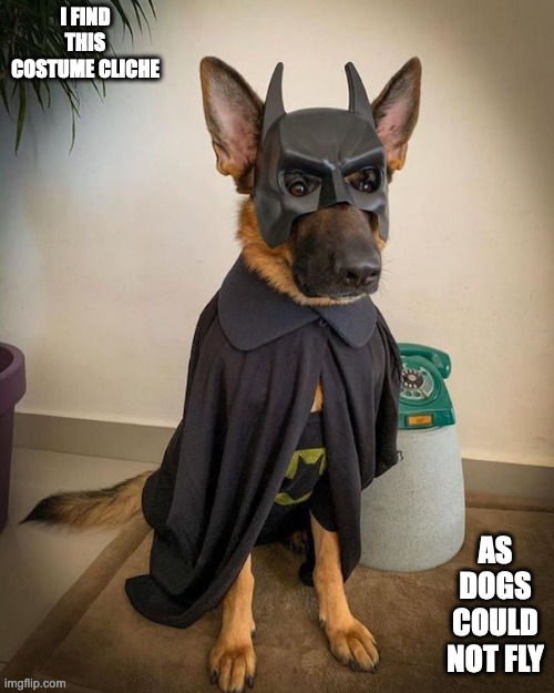 Dog in Batman Costume | I FIND THIS COSTUME CLICHE; AS DOGS COULD NOT FLY | image tagged in dogs,costume,memes | made w/ Imgflip meme maker