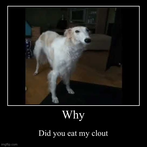 Lol | Why | Did you eat my clout | image tagged in funny,demotivationals | made w/ Imgflip demotivational maker