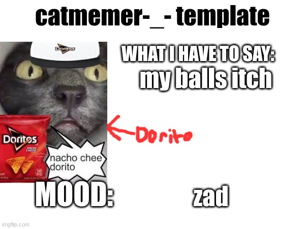 my balls itch; zad | image tagged in template | made w/ Imgflip meme maker