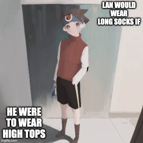 Lan With Long Socks | LAN WOULD WEAR LONG SOCKS IF; HE WERE TO WEAR HIGH TOPS | image tagged in lan hikari,megaman,megaman battle network,memes | made w/ Imgflip meme maker