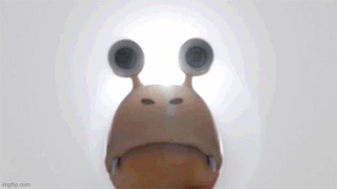 image tagged in bulborb looking down | made w/ Imgflip meme maker